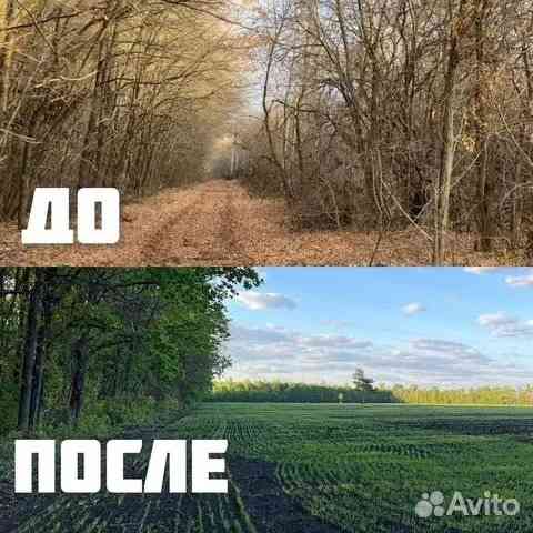 Расчистка территорий от деревьев и пней от 1 Га Тула
