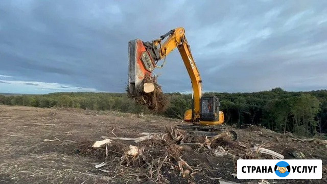 Расчистка территорий от деревьев и пней от 1 Га Тула - изображение 3