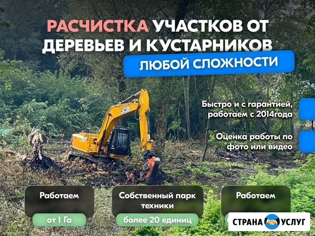 Расчистка территорий от деревьев и пней от 1 Га Тула - изображение 1