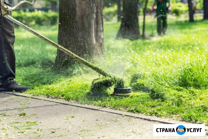 Покос травы. Профессиональный уход за вашим газоном Березовский - изображение 3