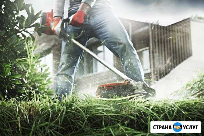 Покос травы. Профессиональный уход за вашим газоном Березовский - изображение 2