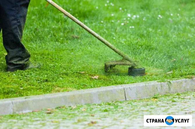 Покос травы. Профессиональный уход за вашим газоном Березовский - изображение 4
