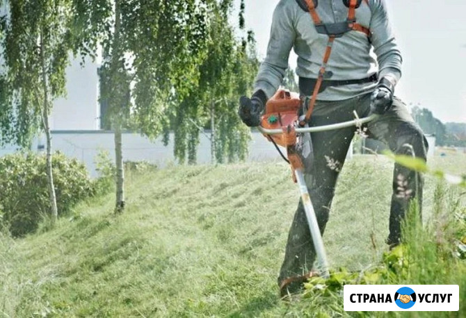 Покос травы. Ваш газон станет предметом гордости Среднеуральск - изображение 1
