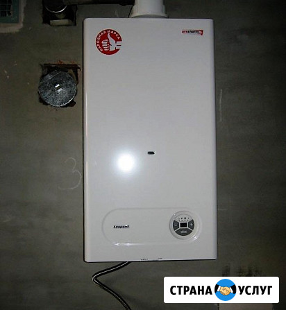 Настенные газовые котлы Protherm Саратов - изображение 3