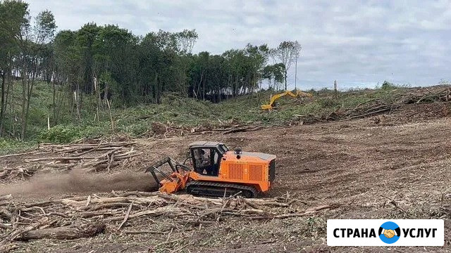 Расчистка территорий от деревьев и пней от 1 Га Брянск - изображение 4