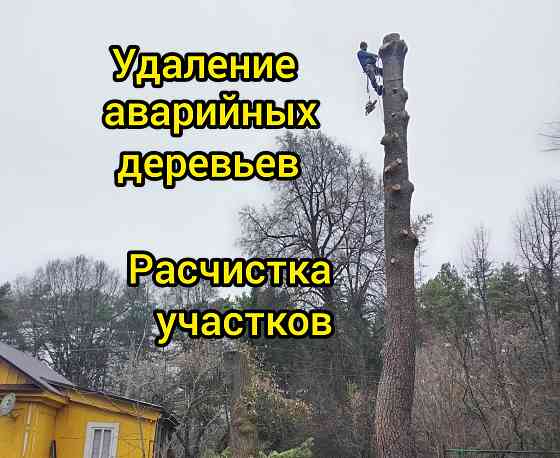 Спил обрезка деревьев, расчистка участка Малоярославец Малоярославец