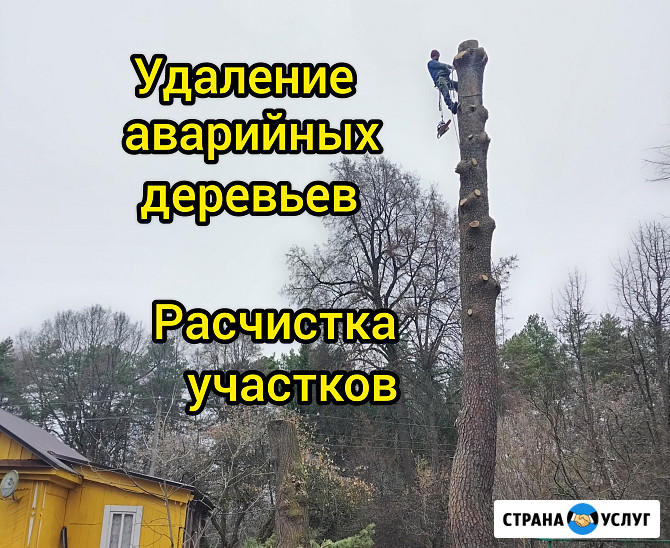 Спил обрезка деревьев, расчистка участка Малоярославец Малоярославец - изображение 1