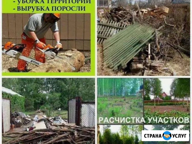 Расчистка участков; Благоустройство; Копка; Вывоз мусора: Недорого! Воронеж Воронеж - изображение 1
