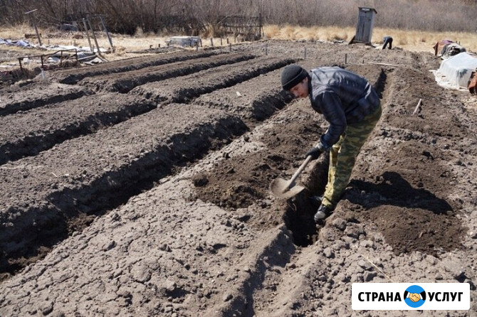 Перекапывание земли, огорода, участка, вручную : Недорого! Воронеж Воронеж - изображение 3
