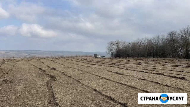 Расчистка территорий от деревьев и пней от 1 Га Брянск - изображение 3