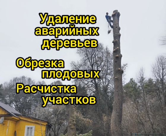 Спил обрезка вырубка деревьев , расчистка участка Медынь Медынь