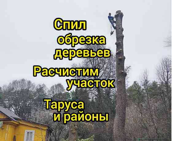 Спил вырубка обрезка деревьев расчистка участка Таруса Таруса