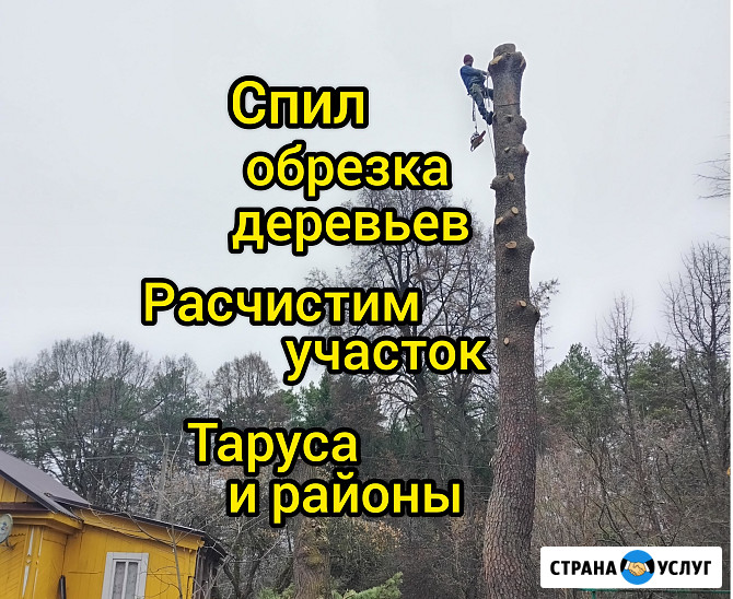 Спил вырубка обрезка деревьев расчистка участка Таруса Таруса - изображение 1