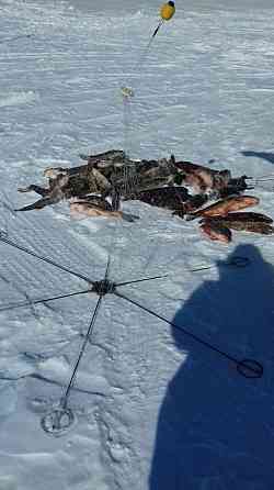 Продам рыболовную снасть хапуга, пружинную, шестипалую Хабаровск