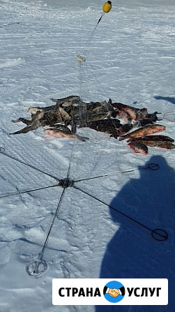 Продам рыболовную снасть хапуга, пружинную, шестипалую Хабаровск - изображение 1