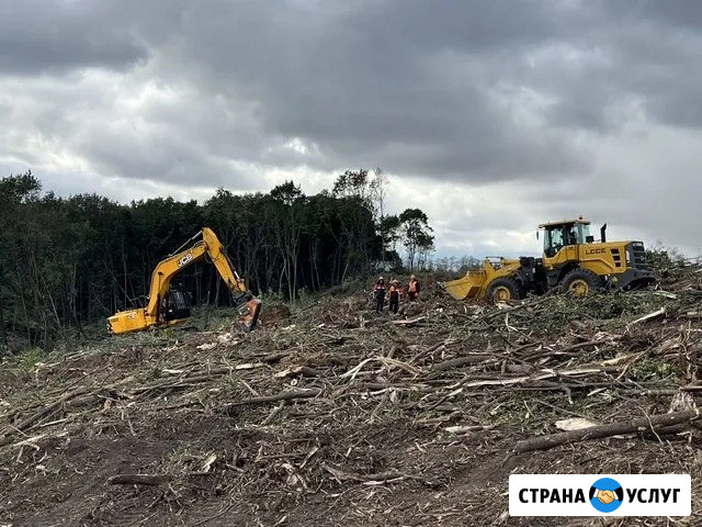 Расчистка территорий от деревьев и пней от 1 Га Рязань - изображение 4