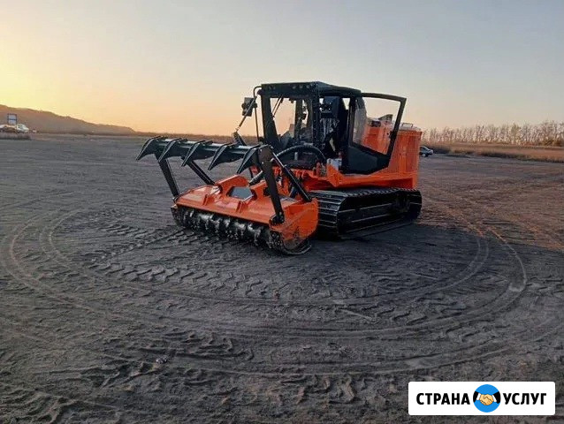 Расчистка территорий от деревьев и пней от 1 Га Рязань - изображение 2