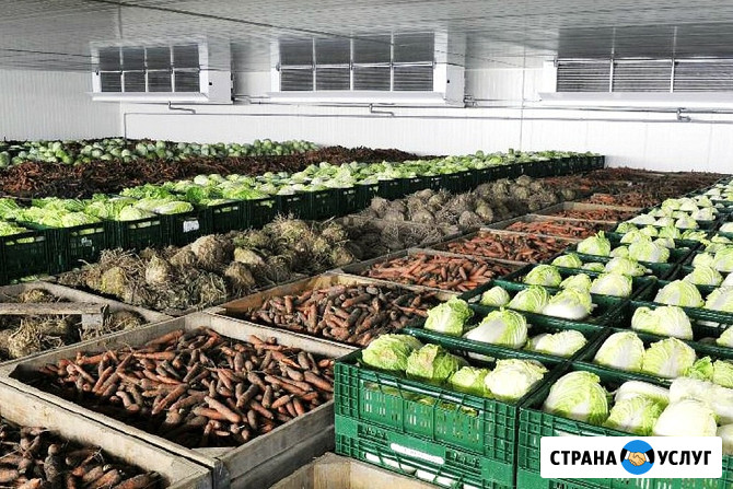 Оснащение Овощехранилищ Холодильным Оборудованием. Агрегаты - Воздухоохладители От Производителя Симферополь - изображение 5