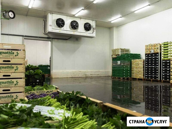 Оснащение Овощехранилищ Холодильным Оборудованием. Агрегаты - Воздухоохладители От Производителя Симферополь - изображение 1