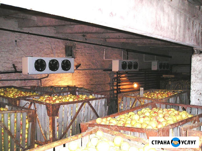 Оснащение Овощехранилищ Холодильным Оборудованием. Агрегаты - Воздухоохладители От Производителя Симферополь - изображение 4