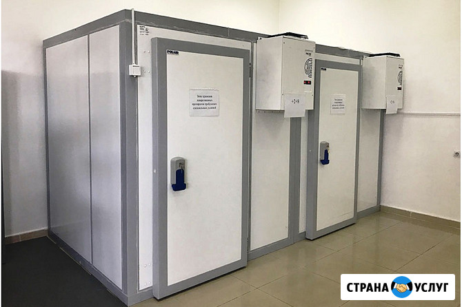 Производство Холодильных и Морозильных Камер для Общепита Любого Размера и Температуры.Гарантия Симферополь - изображение 5