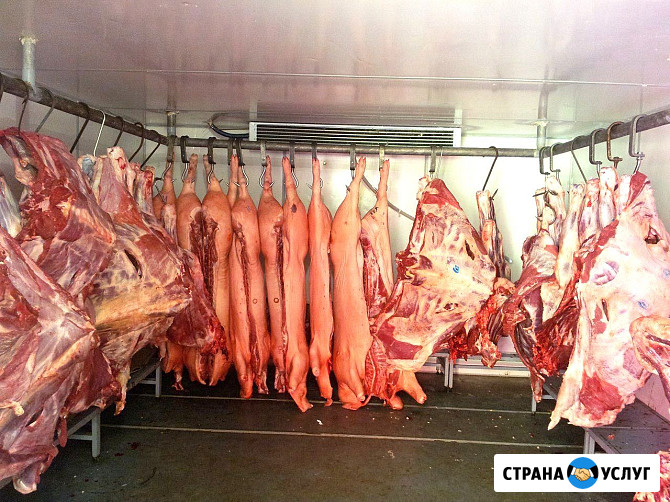 Камеры для Мяса - Морозильные - Холодильные - Заморозки с Установкой и Гарантией. Лучшая Цена Симферополь - изображение 1