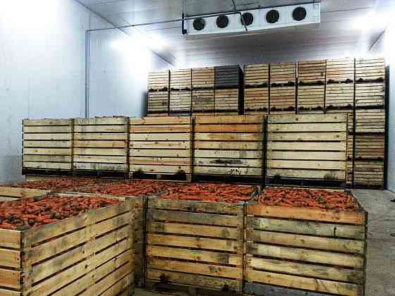 Холодильное Оборудование для Хранения Овощей и Фруктов. Агрегаты *Bitzer* *Frascold* *Bock Бахчисарай