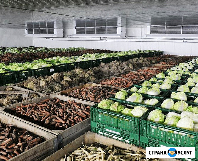 Холодильное Оборудование для Хранения Овощей и Фруктов. Агрегаты *Bitzer* *Frascold* *Bock Бахчисарай - изображение 1