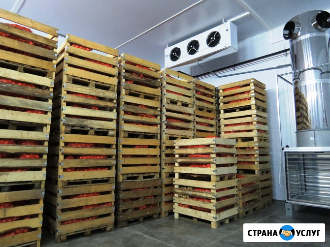 Холодильное Оборудование для Хранения Овощей и Фруктов. Агрегаты *Bitzer* *Frascold* *Bock Бахчисарай - изображение 3