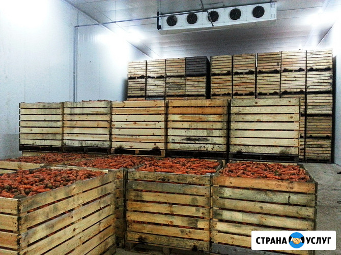 Холодильное Оборудование для Хранения Овощей и Фруктов. Агрегаты *Bitzer* *Frascold* *Bock Бахчисарай - изображение 4