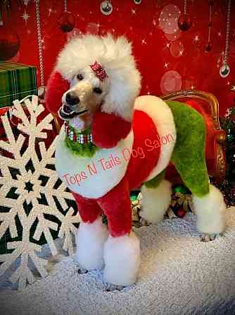 Дед Мороз, Снегурочка и милая собачка Эльф поздравление на дом Пермь