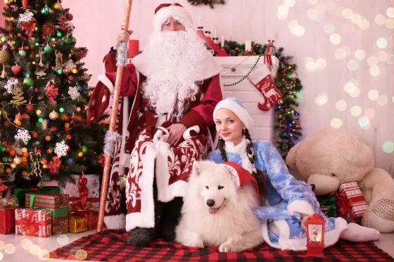 Дед Мороз, Снегурочка и милая собачка Эльф поздравление на дом Пермь