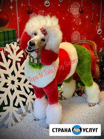 Дед Мороз, Снегурочка и милая собачка Эльф поздравление на дом Пермь - изображение 4