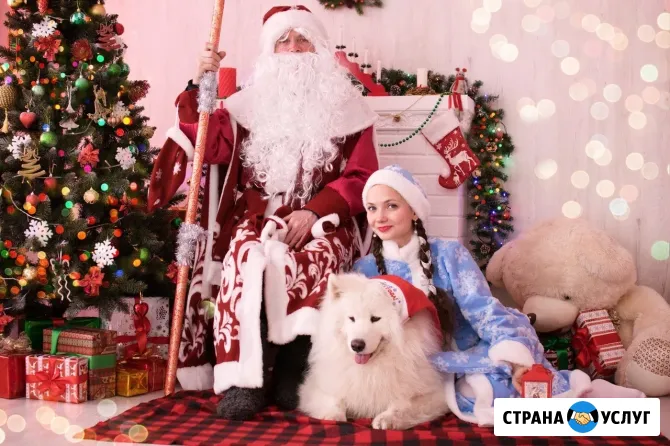 Дед Мороз, Снегурочка и милая собачка Эльф поздравление на дом Пермь - изображение 1