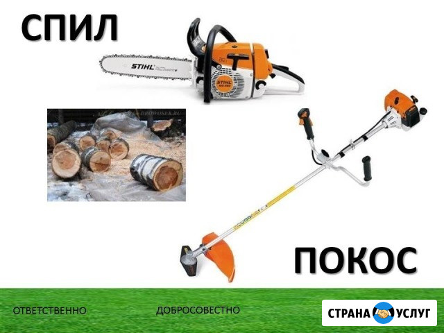 Спиливаю деревья. ветки., пни, кустарники Пятигорск - изображение 1