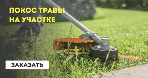 Выполняю покос травы, бурьяна, зарослей в Шахтах — для частных лиц и организаций Шахты