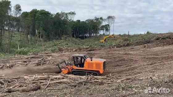 Расчистка территорий от деревьев и пней от 1 Га Липецк