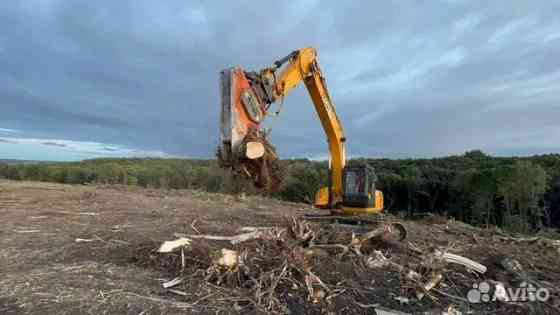 Расчистка территорий от деревьев и пней от 1 Га Липецк