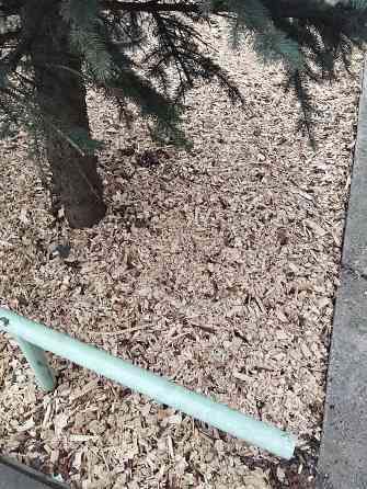 Щепа древесная , мульча Ярославль