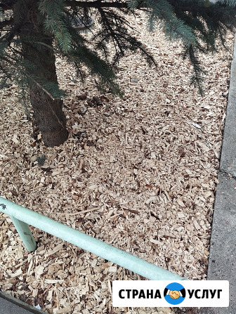 Щепа древесная , мульча Ярославль - изображение 2