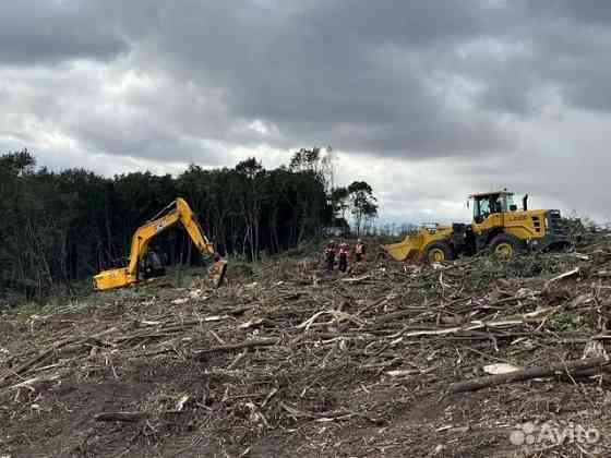 Расчистка территорий от деревьев и пней от 1 Га Балашиха