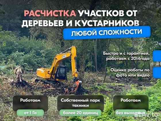 Расчистка территорий от деревьев и пней от 1 Га Балашиха