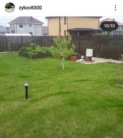 Газон Калининград