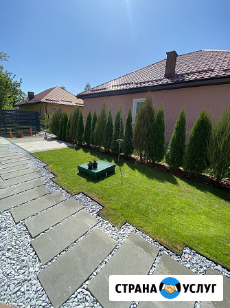 Газон Калининград - изображение 1