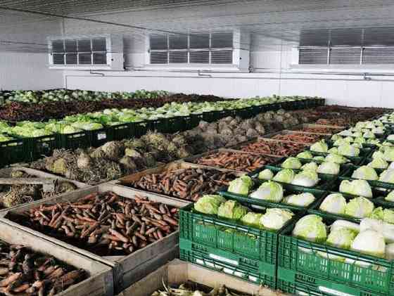 Монтаж Холодильных Агрегатов в Овощехранилища и Фруктохранилища с Гарантией. Воздухоохладители Белогорск