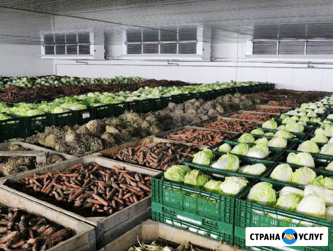 Монтаж Холодильных Агрегатов в Овощехранилища и Фруктохранилища с Гарантией. Воздухоохладители Белогорск - изображение 1