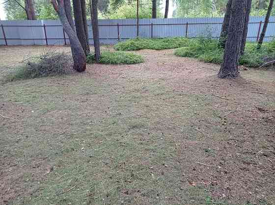 Покос травы Тверь