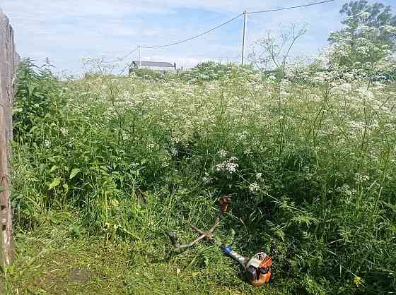 Покос травы Тверь