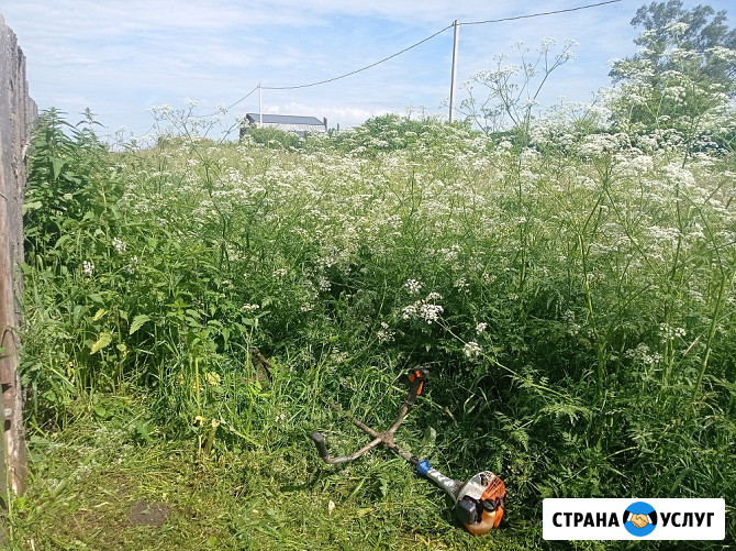 Покос травы Тверь - изображение 2