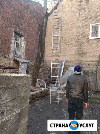 Спил деревьев Ростов-на-Дону - изображение 2